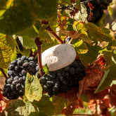 Portus Cale Ruby Red Soap (150gr)